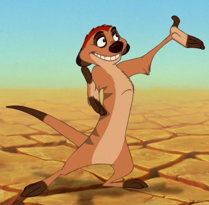 Timon
